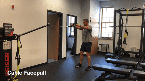 cable face pull exercise