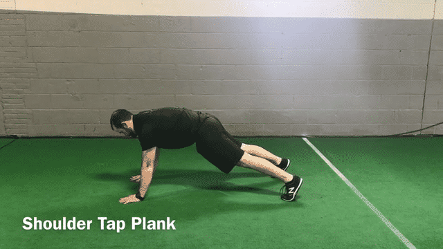 Shoulder tap plank exercise