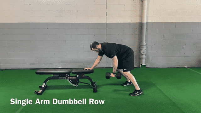 Dumbbell row exercise